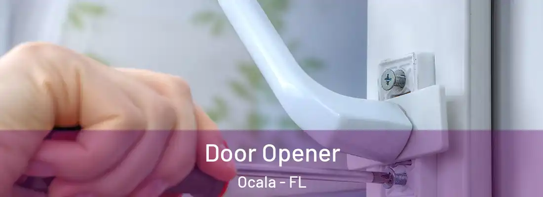  Door Opener Ocala - FL