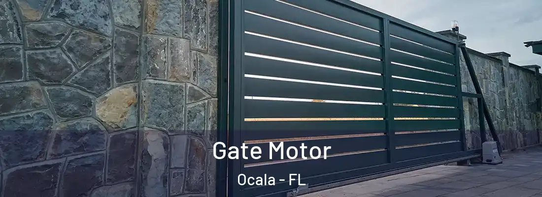 Gate Motor Ocala - FL